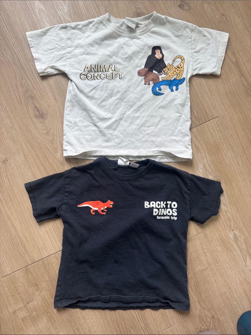 ZARA KIDS Animal Concept & Back to Dinos Kids Graphic Tee Bundle